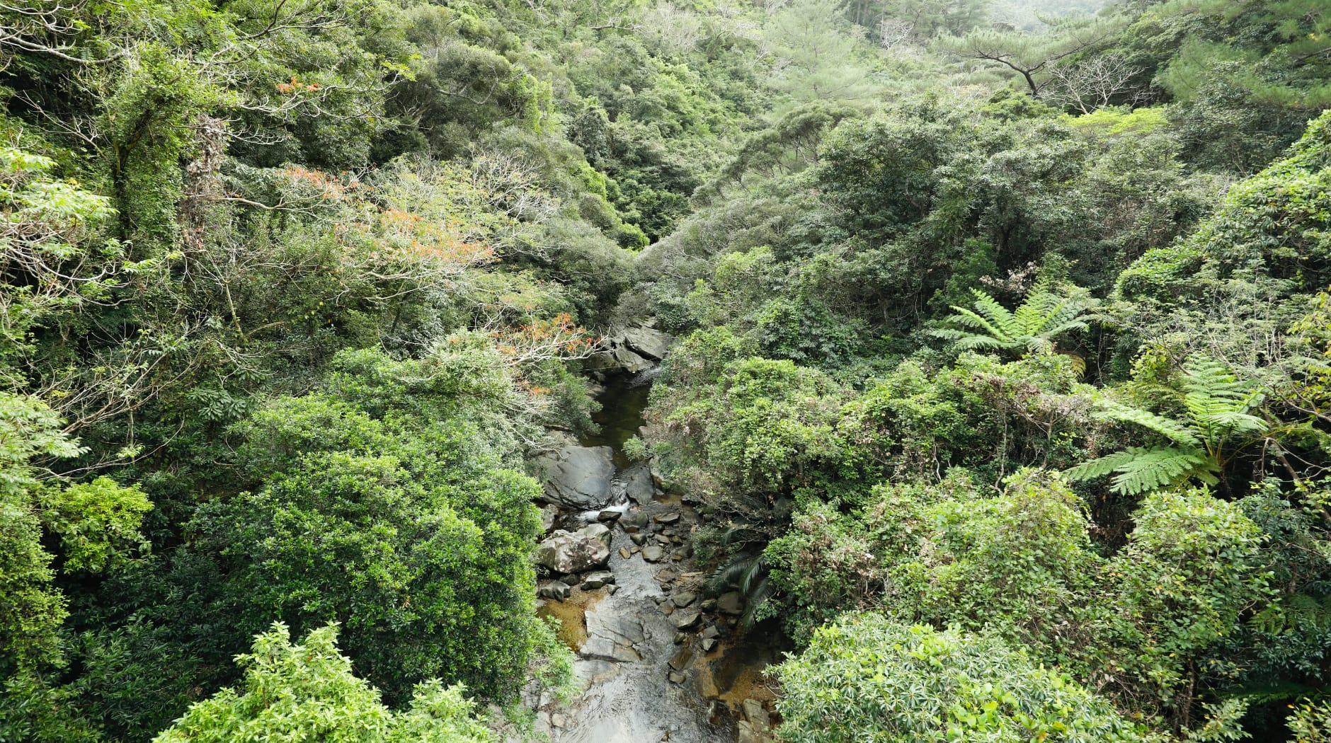 Hiji Waterfall