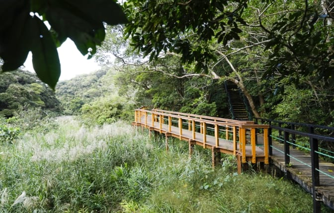Well-maintained boardwalk