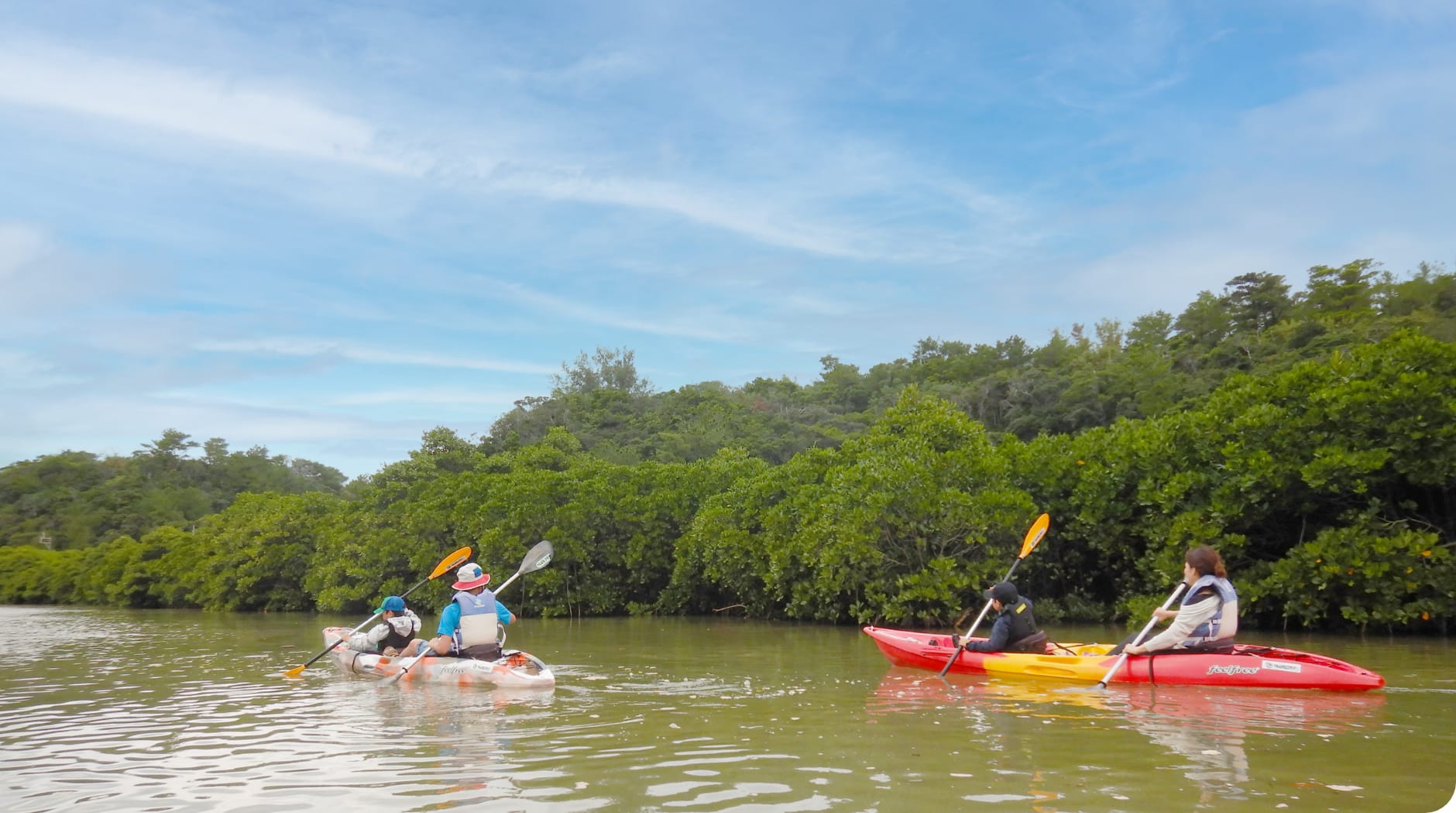 Gesashi River mangrove canoe tour