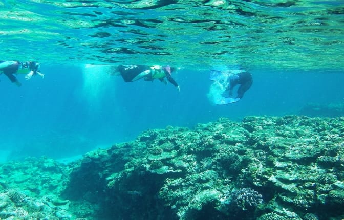 Boat Snorkeling Tour （about 60 minutes）